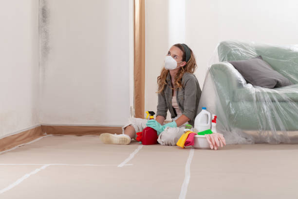 Reliable Mold Remediation contractor in Newport, WA by 24 Hour Mold Removal